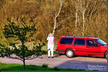 people_20120503_shootingview