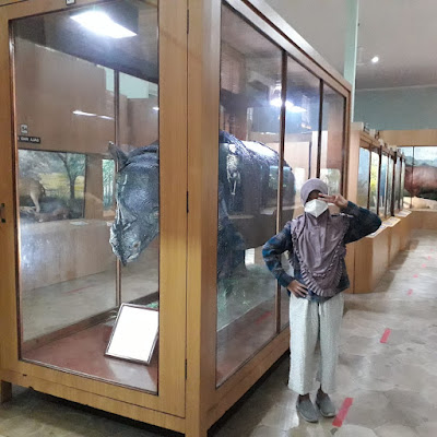 Museum Zoologi di Kebun Raya Bogor