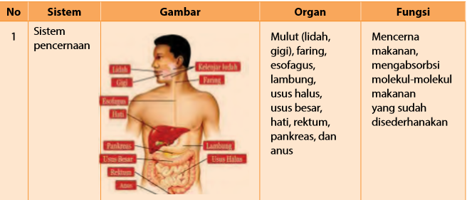 Struktur Organisasi Kehidupan| Bahan ajar Kelas VII ...