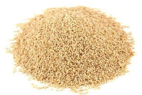 Poppy Seeds - खसखस