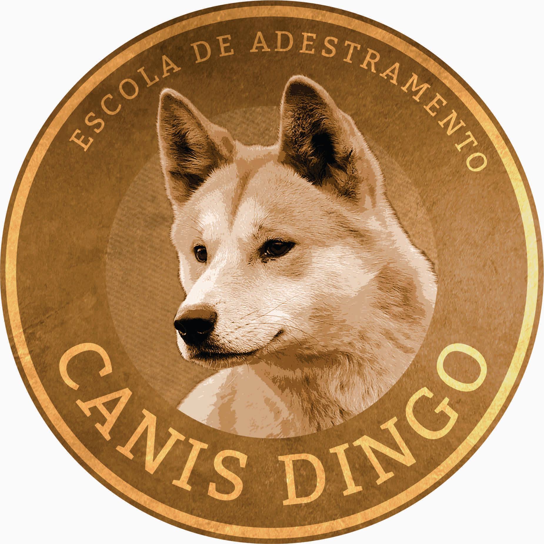 Países Com Mais Dingo no Mundo (Canis Lupus Dingo)