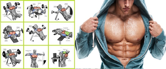 How to Build Bigger Chest Muscles? & Mistakes You Must ...