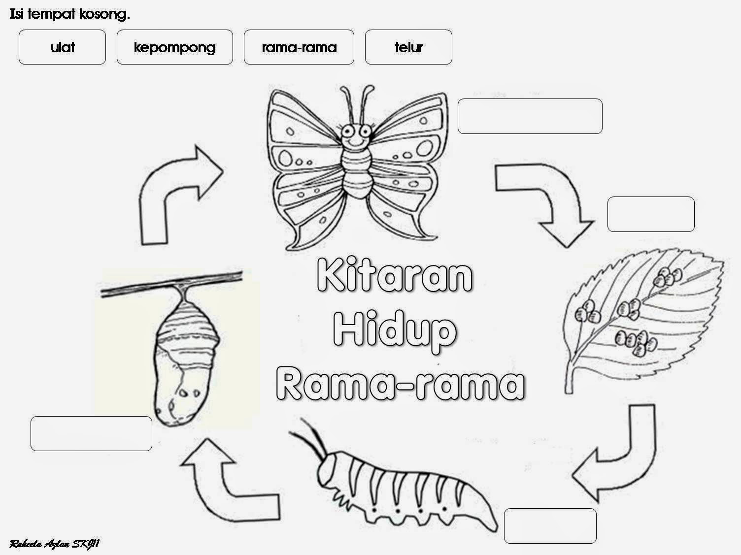 Contoh Soalan Adab Tahun 4 - Kecemasan i