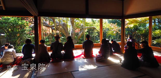 京都･宝泉院でお庭を愛でながらお抹茶をいただく特別感