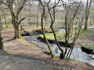 The river winding through trees.