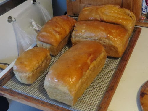 loaves of bread