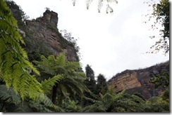 Views from boardwalk at Scenic World, Katoomba, Blue Mountains