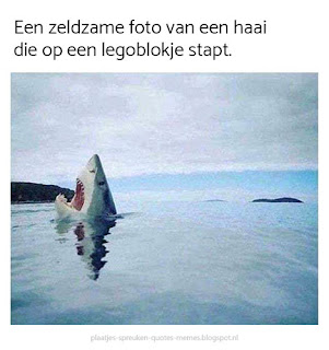 grappige memes nederlands
