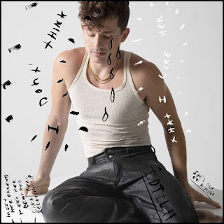 cover art for I Don’t Think That I Like Her single by Charlie Puth