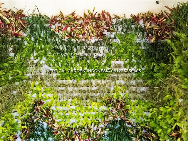 VERTICAL GARDEN INDONESIA SPESIALIS JASA PEMBUATAN VERTICAL GARDEN DI BINTARO DAN DI SELURUH WILAYAH BINTARO DENGAN TENAGA YANG PROFESIONAL DAN DAPAT DI PERCAYA YANG SELALU MENGUTAMAKAN SEBUAH MUTU DAN KUALITAS PEMASANGAN VERTICAL GARDEN/TAMAN DINDING, JASA TUKANG TAMAN VERTICAL BINTARO, JASA VERTICAL GARDEN BINTARO