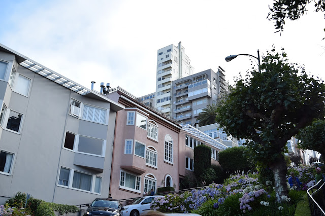 Lombard Street san francisco