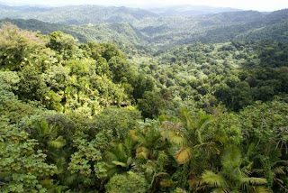 El Yunque