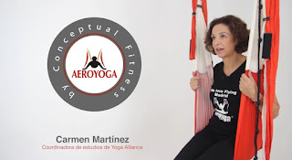 aeroyoga brasil