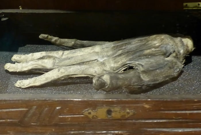 The Ancient Relics With Supernatural Powers | Hand of Glory