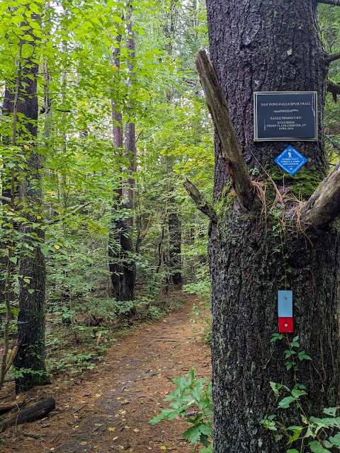 Day Pond Brook Park Blue Red Offshoot trail