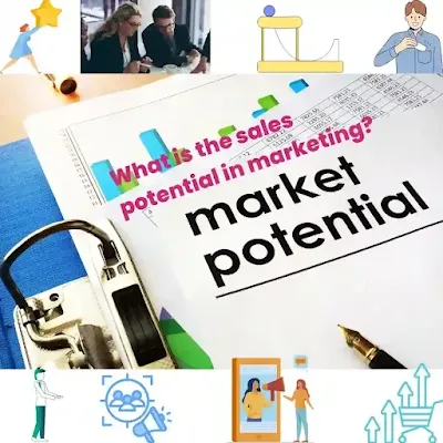 What is the sales potential in marketing?