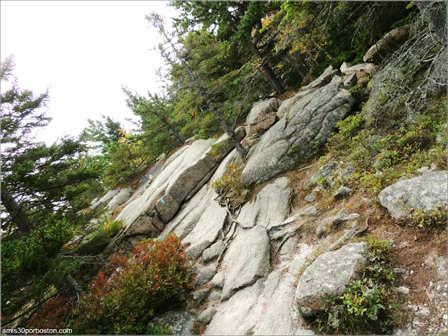 Senderos del Cadillac Mountain en el Parque Nacional Acadia en Maine