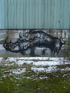 beautifull rhino graffiti