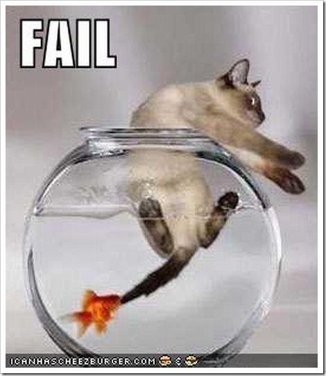 funny quotes cats. 2010 funny quotes with cats.