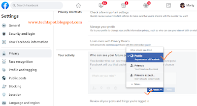 Make Facebook Profile Public 4
