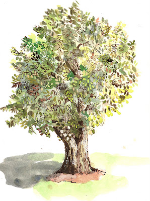 Tree Drawing