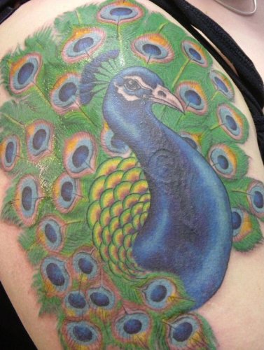 Peacock Feather Tattoo