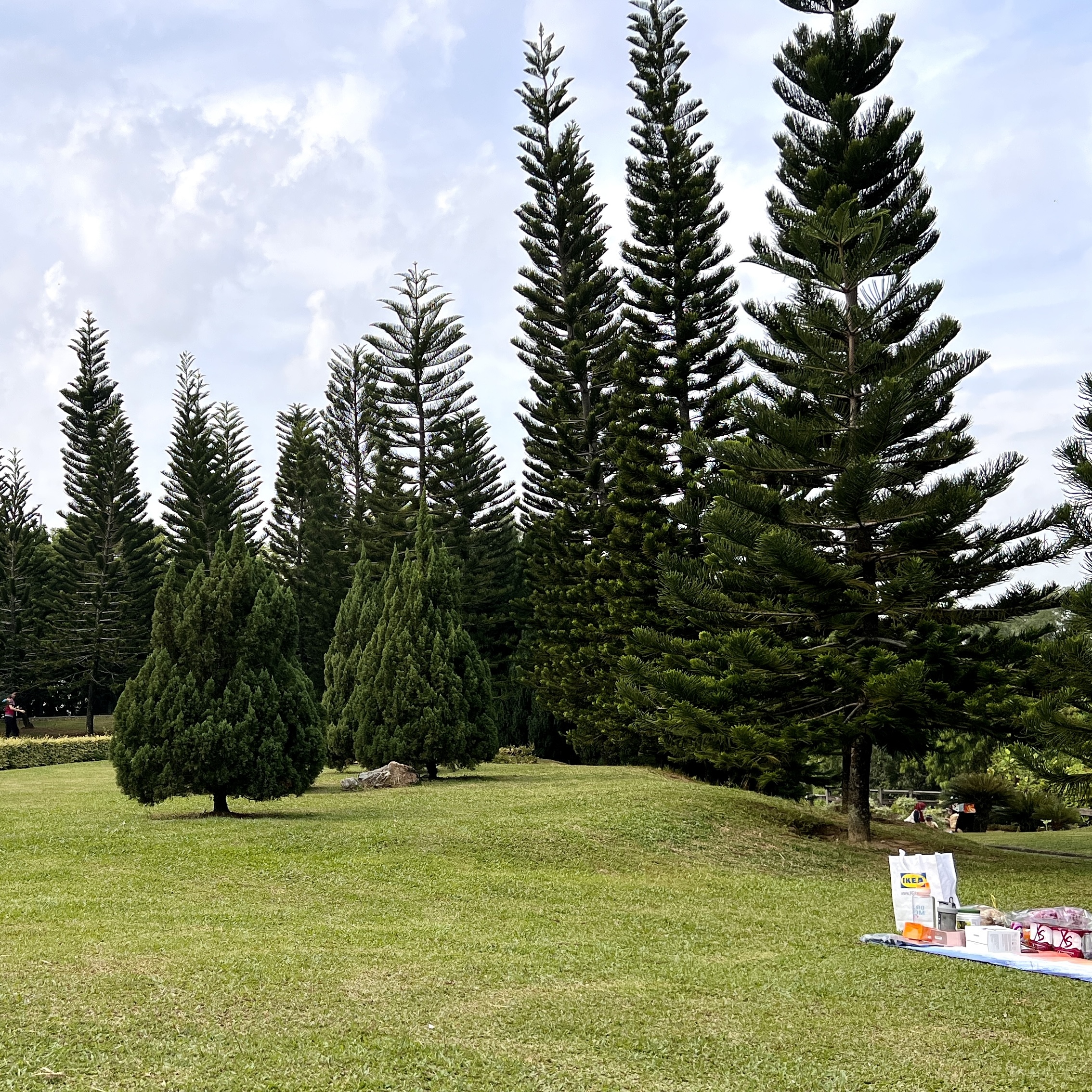 taman saujana hijau picnic 野餐