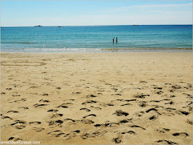 Playas de Massachusetts: Singing Beach