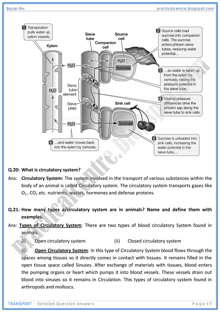 transport-detailed-question-answers-biology-9th-notes