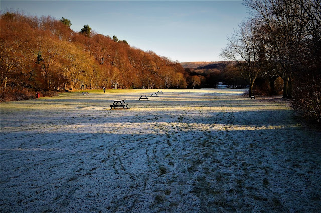 7 Superb Derwent Valley Winter Walks in the Land of Oak & Iron