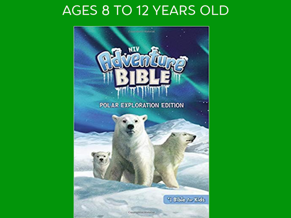 Perfect Bible for Kids