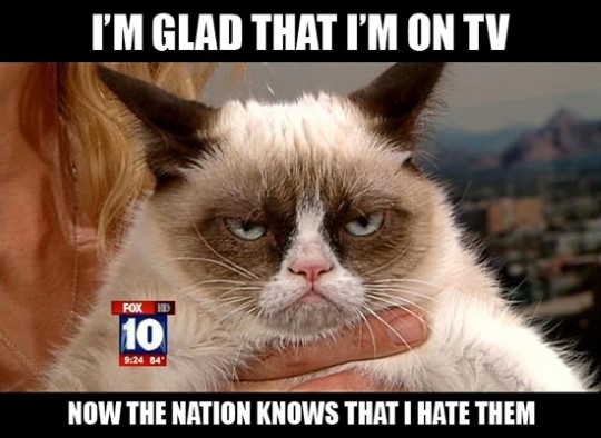 Grumpy Cat Memes