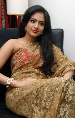 Nikisha Patel Hot Transparent Saree Photos
