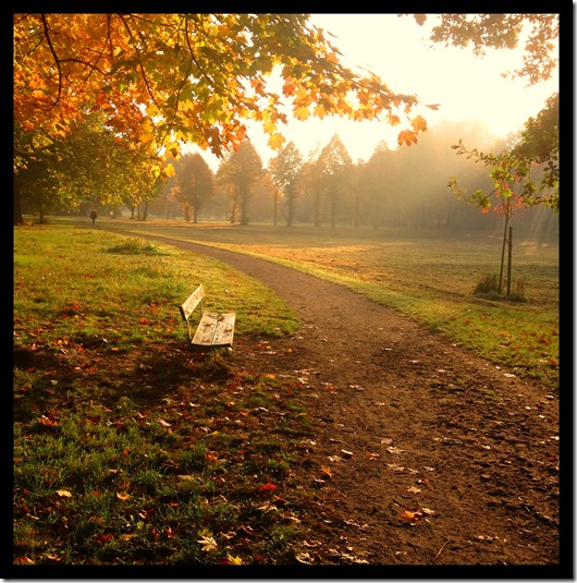 Herbstnebel