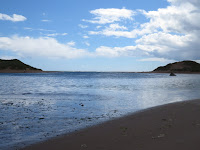 Ythan Estuary