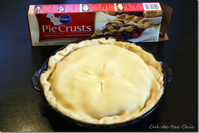 chicken pot pie 005