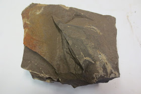pedra de xisto betuminoso com óleo