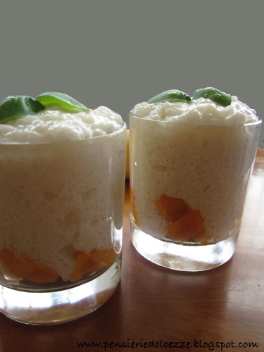 Coconut Mango Tapioca Pudding 4