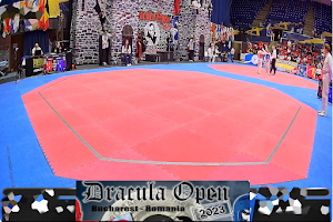 Αποτελέσματα στο Dracula Taekwondo Open G1/E1 2023, Βουκουρέστι Ρουμανίας (28-29/10)