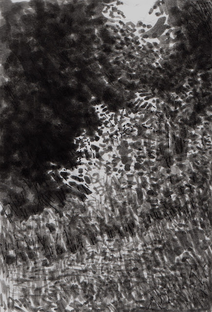 Pen and ink wash sketch of foliage brilliantly illuminated against dark trees
