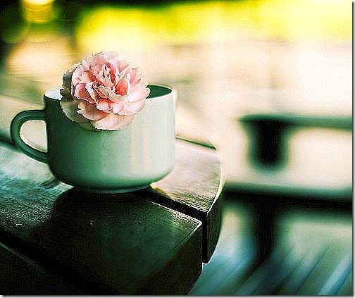 tumblr_l2lw58Z8HN1qzwaddo1_500