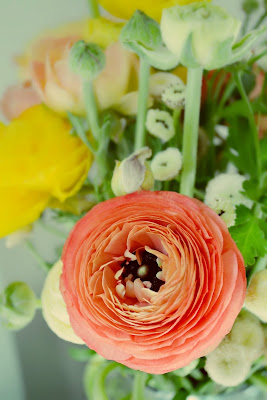 ranunculus, spring, flowers, bouquet, petals, peach, yellow