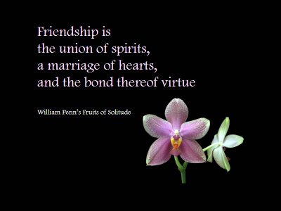 quotes about friendship. Friends and Friendship Quotes