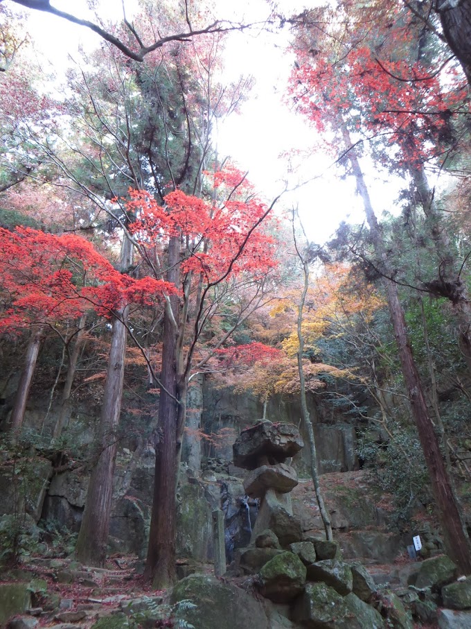 リトリートに行ってきました