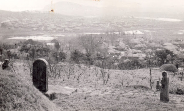 Photo by Arnold Nevis, 1946