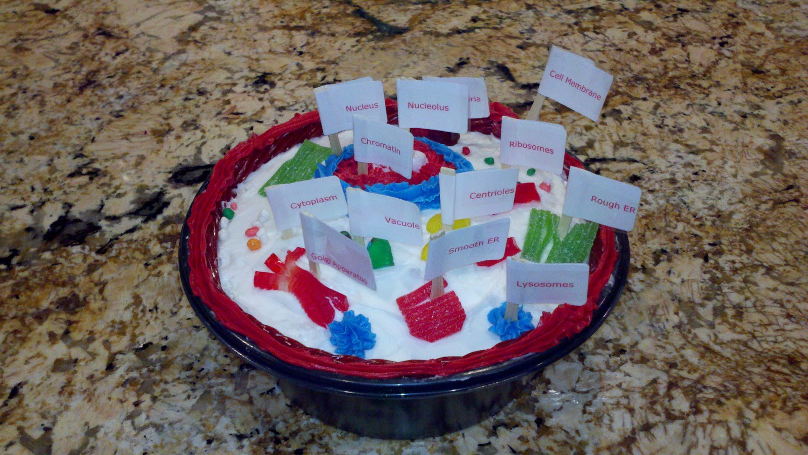 Animal Cell Model Project