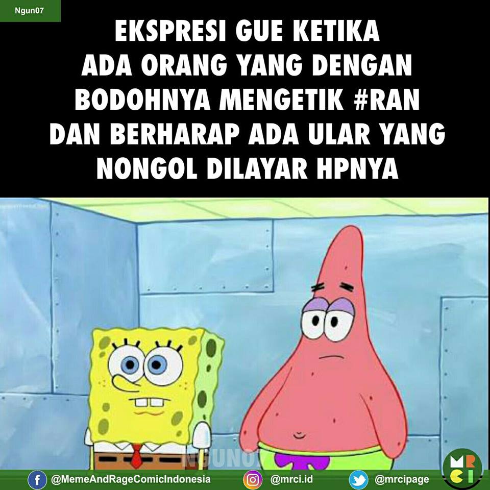 Meme Lucu Ular DP BBM Lucu Kocak Dan Gokil