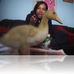 Vero hablando con Lulu (Ni la pela!)