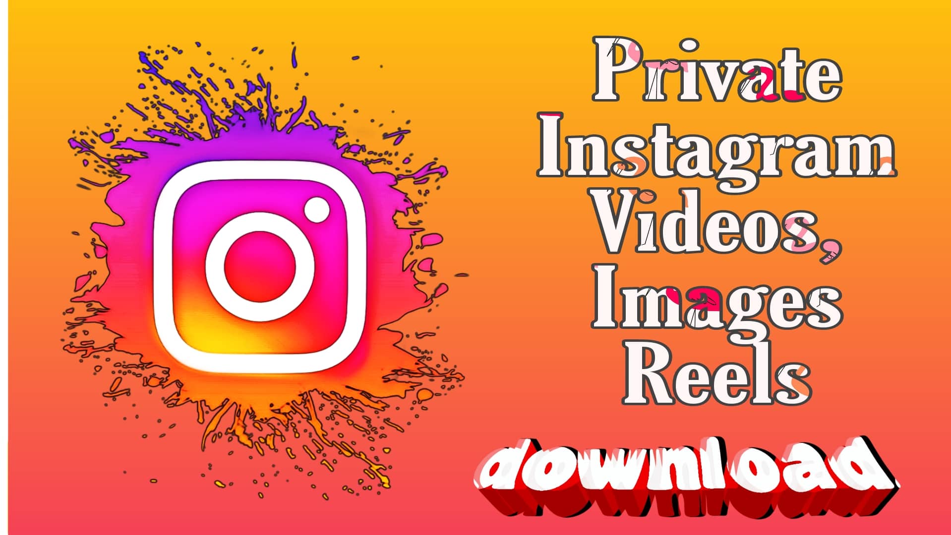 Private Instagram Video Image Reel Story Downloader Free Online