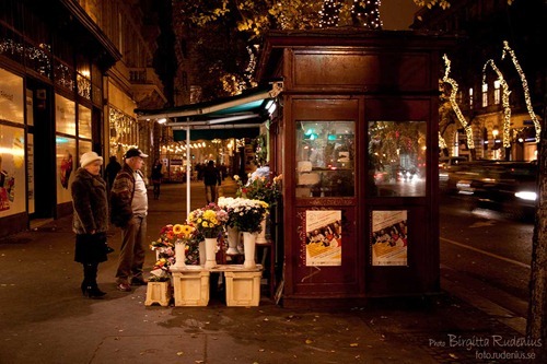 street_20111125_flowershop